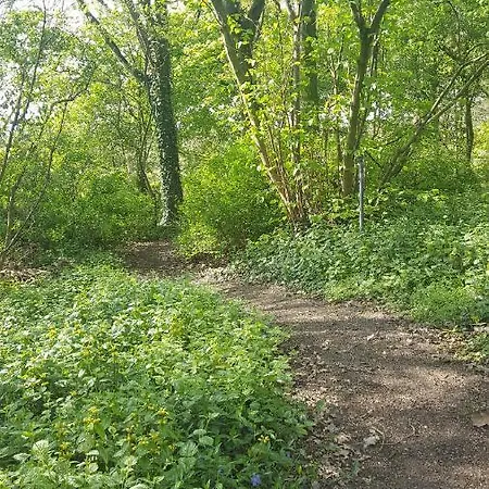 Parc Buitengewoon *