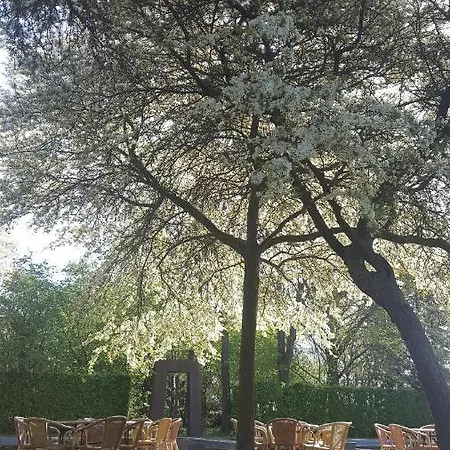 Campsite Boutique Parc Buitengewoon Ven-Zelderheide