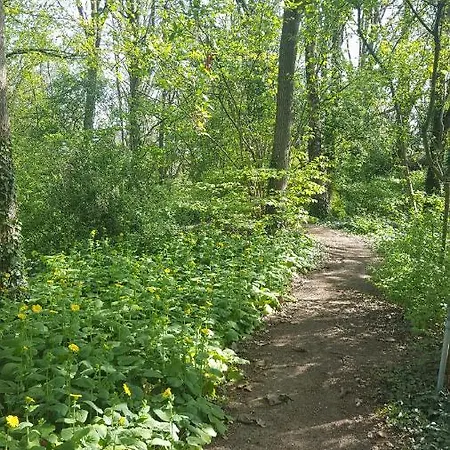 Camping Parc Boulée Ven-Zelderheide